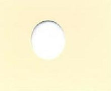 Load image into Gallery viewer, Light Cream - Automotive Aerosol Spray Paint