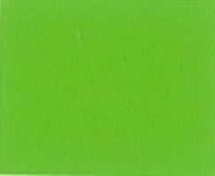 Gecko Green - Automotive Aerosol Spray Paint